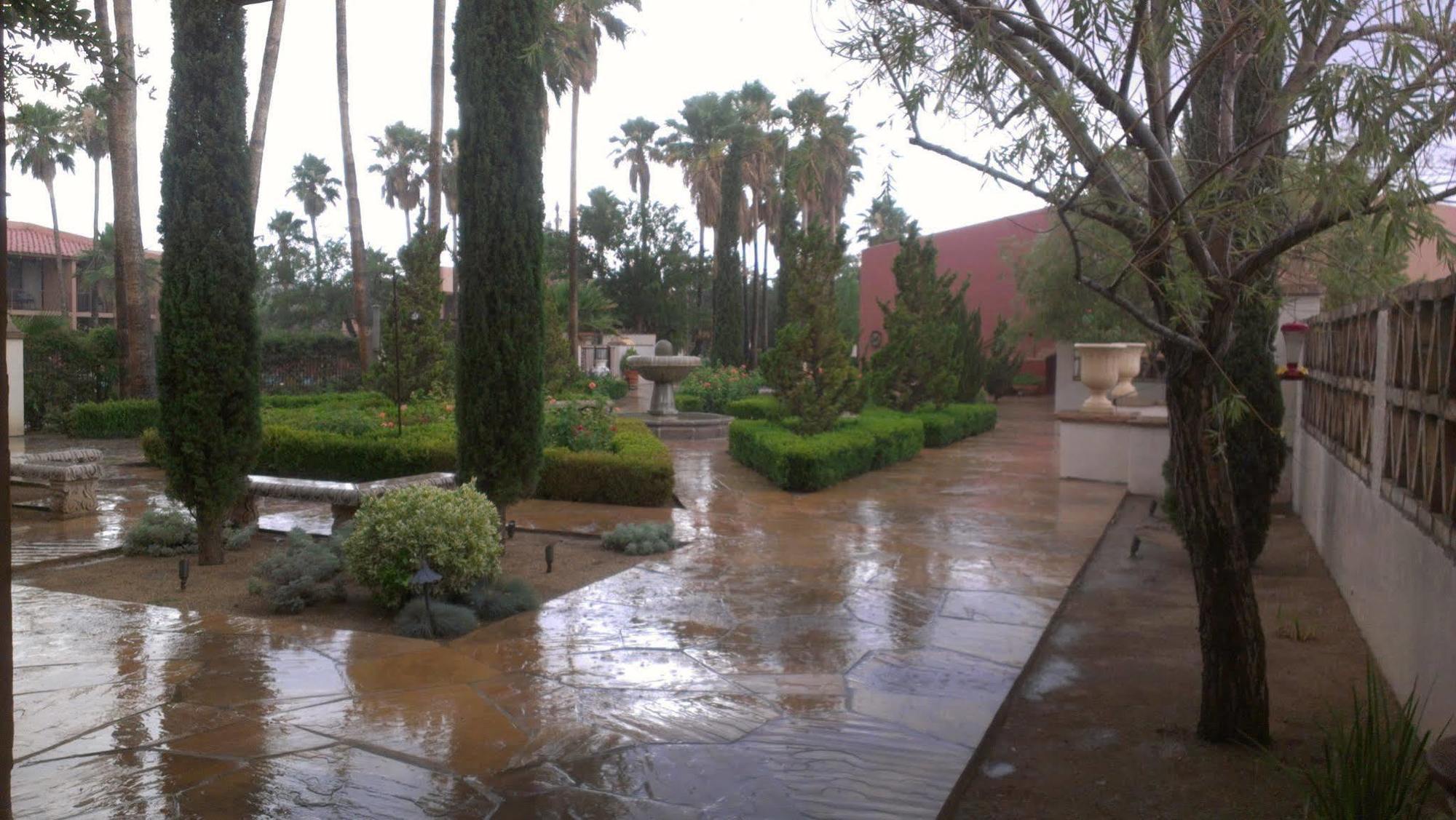 Esplendor Resort At Rio Rico Bagian luar foto